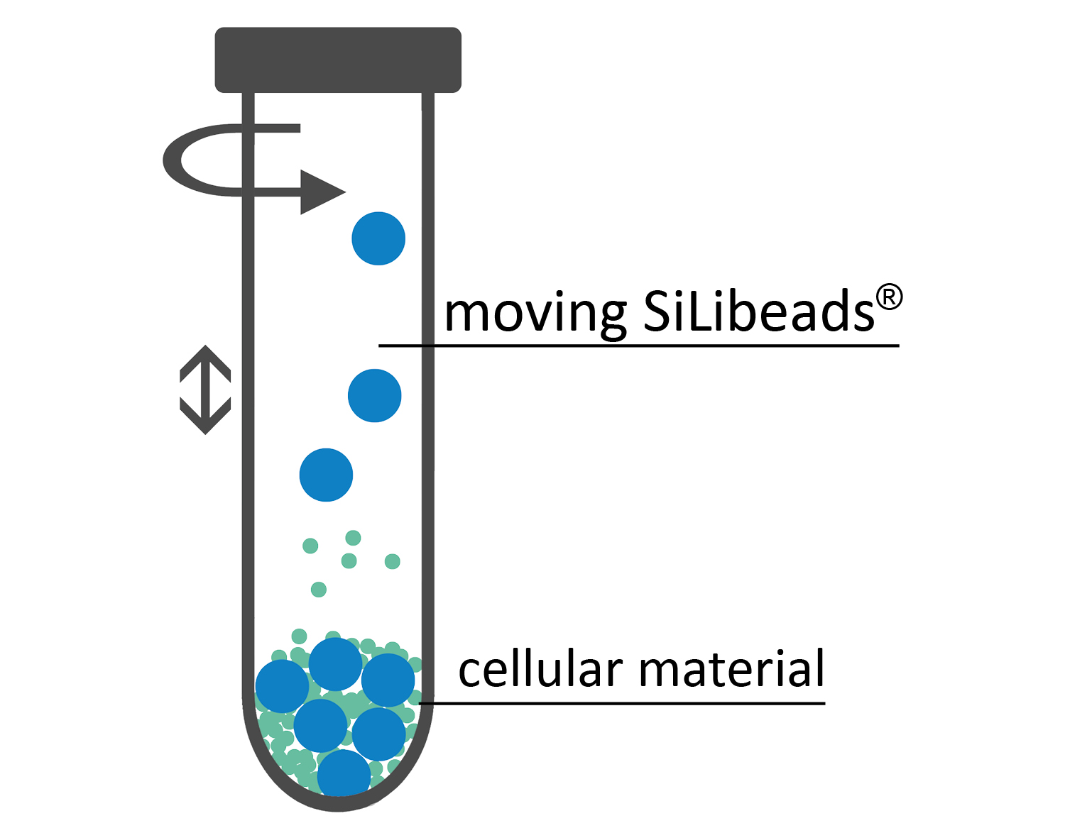 cell-disruption-Beads